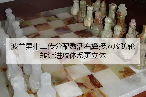 bo-lan-nan-pai-er-chuan-fen-pei-ji-huo-you-yi-jie-ying-gong-fang-lun-zhuan-rang-jin-gong-ti-xi-geng-li-ti-2-494.jpg